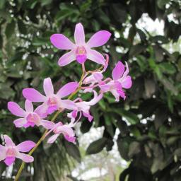 Welcome to the HeadFirst PNP blog