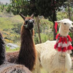 It’s time for new book!