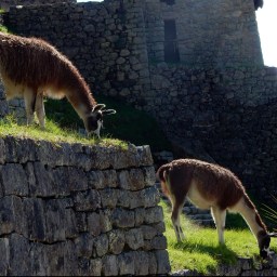 When to refer to a pediatric headache specialist