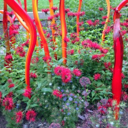 App review: WebMAP Mobile, for adolescents with chronic pain