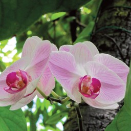 My book- it’s been 2 years!