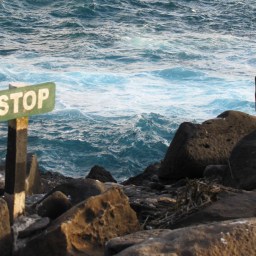 Visiting the ED or Urgent care