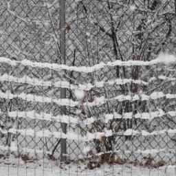 Migraine and other medical comorbidities