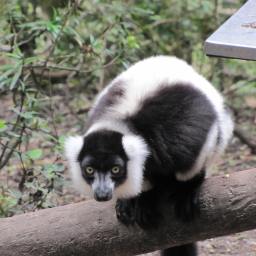 Revisiting the ‘new’ migraine prevention medications