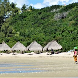 Off to college during the pandemic