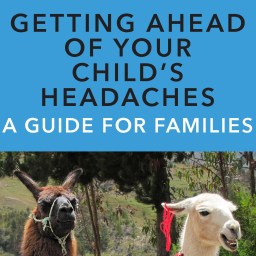 My new book is available!